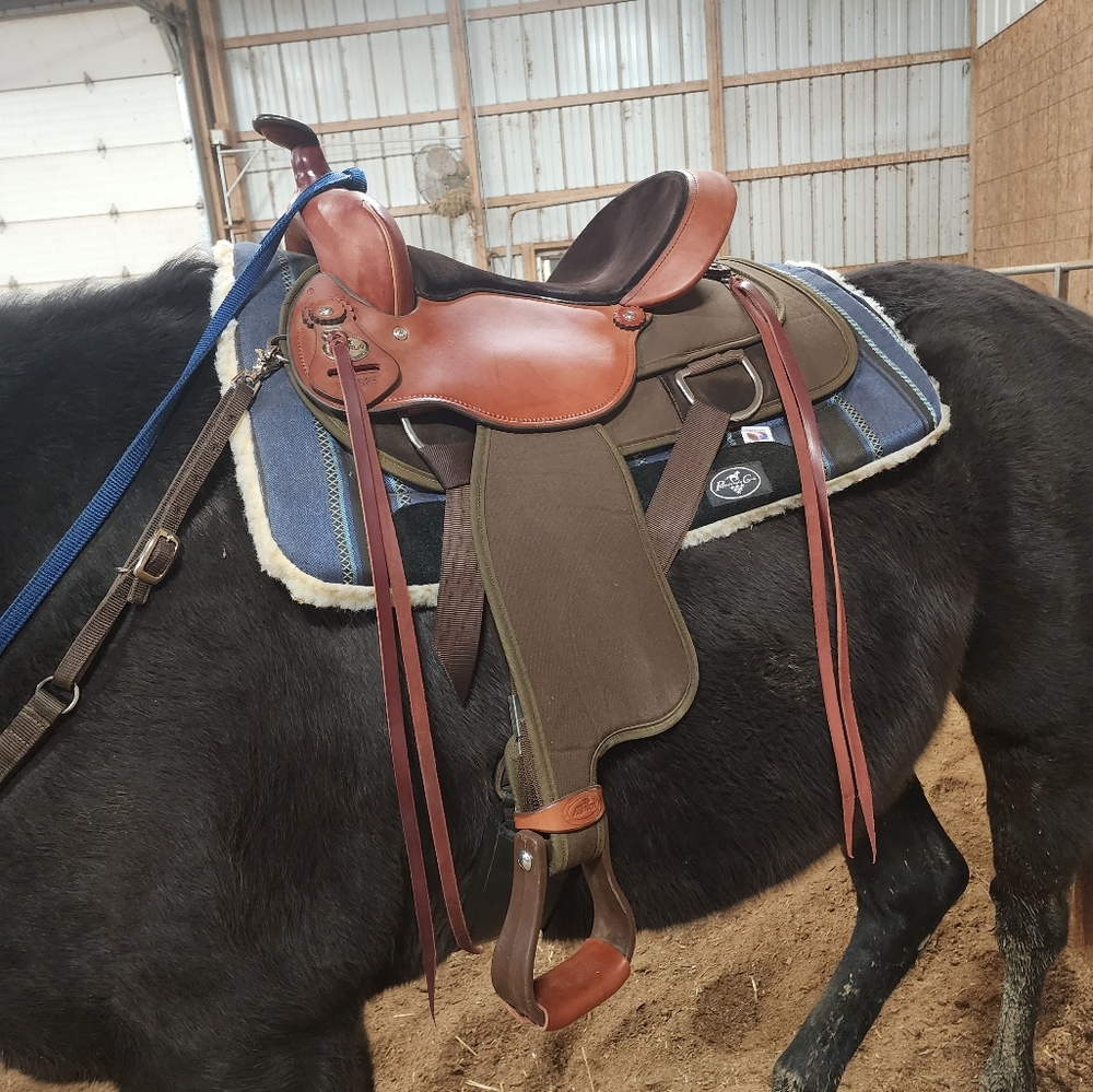 Tack set Fabtron Lady Trail western saddle 15.5 FQHB Like new